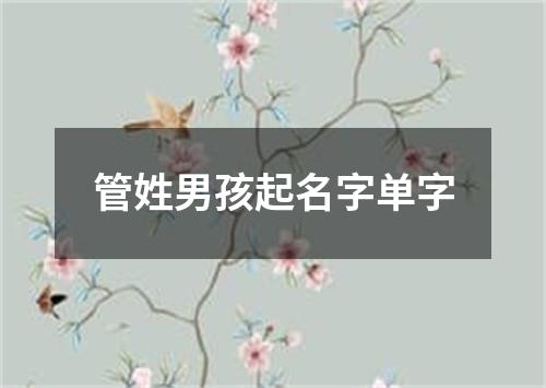 管姓男孩起名字单字