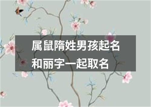 属鼠隋姓男孩起名和丽字一起取名