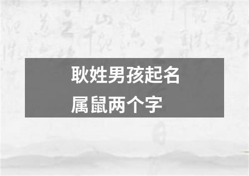 耿姓男孩起名属鼠两个字