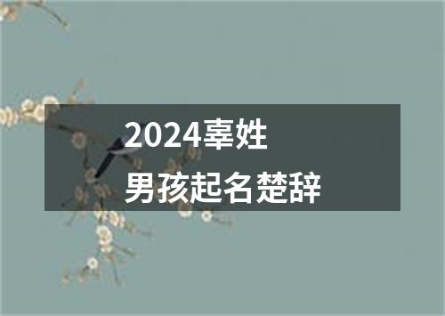 2024辜姓男孩起名楚辞