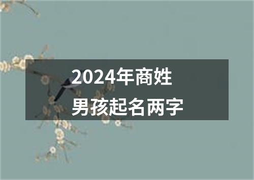 2024年商姓男孩起名两字