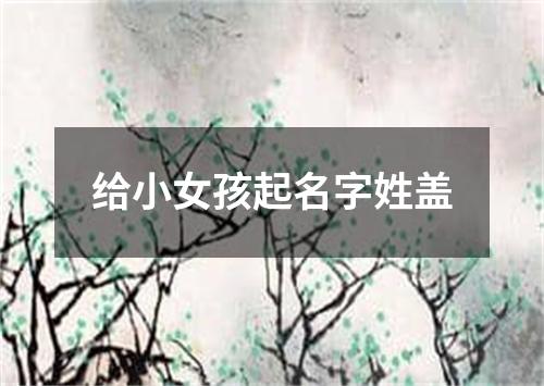 给小女孩起名字姓盖