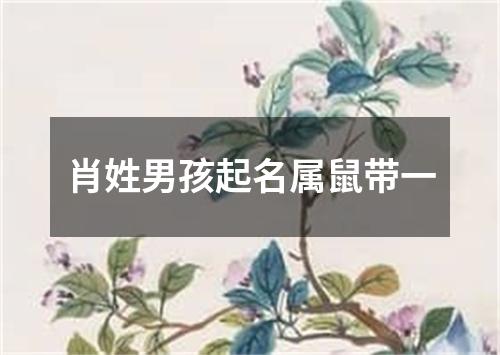 肖姓男孩起名属鼠带一