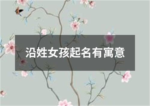 沿姓女孩起名有寓意