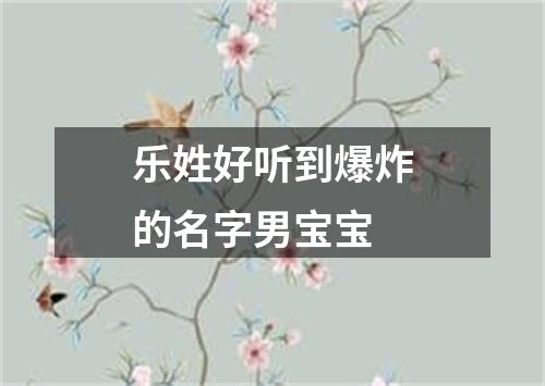 乐姓好听到爆炸的名字男宝宝