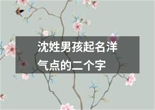 沈姓男孩起名洋气点的二个字