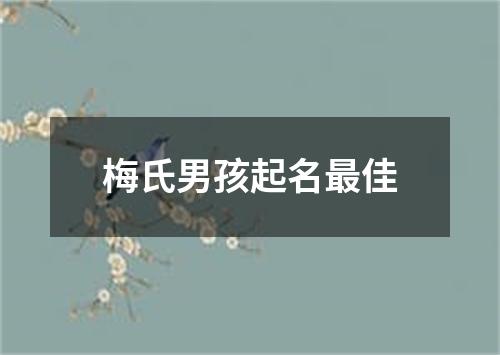 梅氏男孩起名最佳