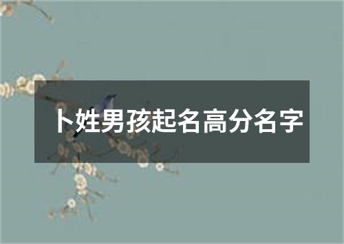 卜姓男孩起名高分名字