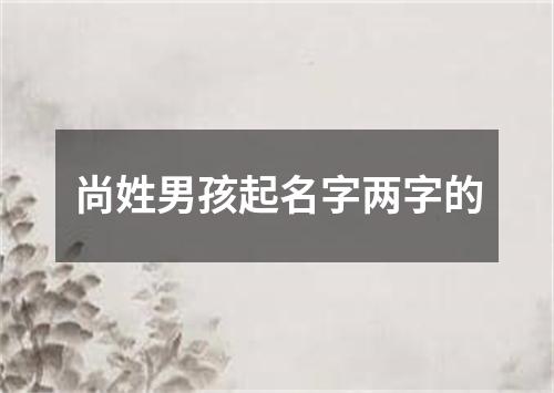 尚姓男孩起名字两字的