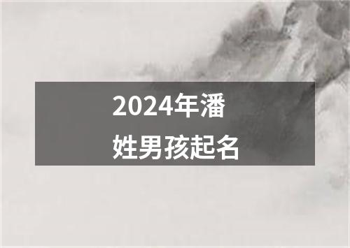 2024年潘姓男孩起名