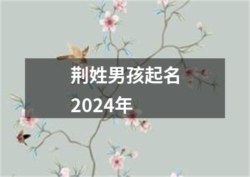 荆姓男孩起名2024年