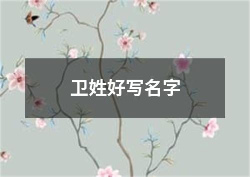 卫姓好写名字