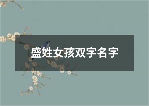 盛姓女孩双字名字