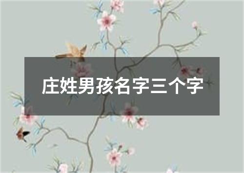 庄姓男孩名字三个字