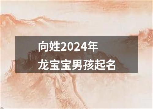 向姓2024年龙宝宝男孩起名