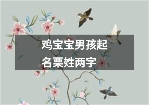 鸡宝宝男孩起名栗姓两字