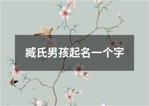 臧氏男孩起名一个字