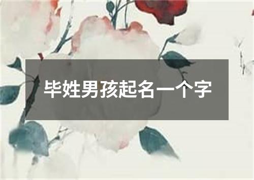 毕姓男孩起名一个字