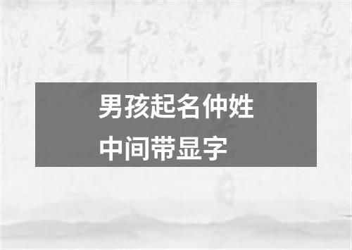 男孩起名仲姓中间带显字