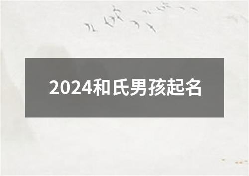 2024和氏男孩起名