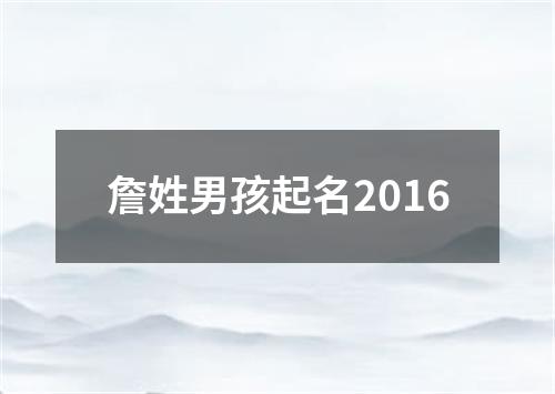 詹姓男孩起名2016