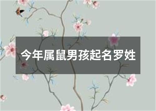 今年属鼠男孩起名罗姓