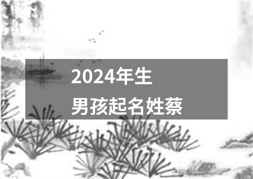 2024年生男孩起名姓蔡