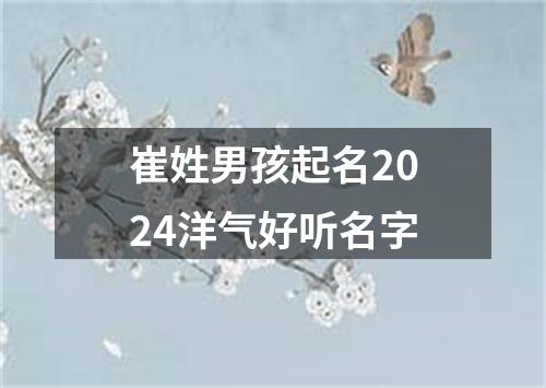 崔姓男孩起名2024洋气好听名字