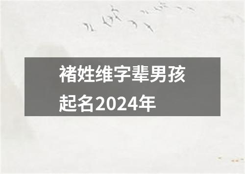 褚姓维字辈男孩起名2024年