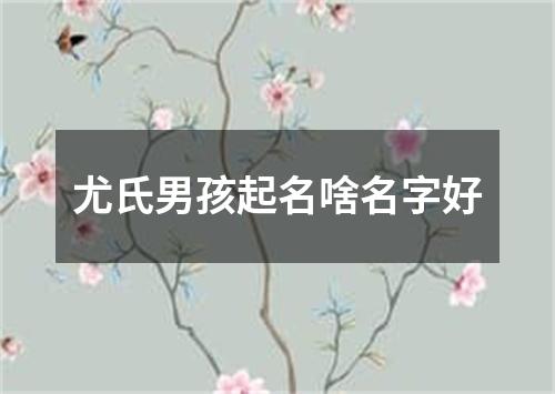 尤氏男孩起名啥名字好