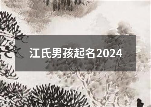 江氏男孩起名2024