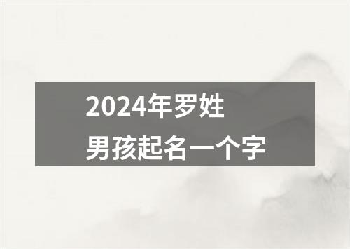 2024年罗姓男孩起名一个字