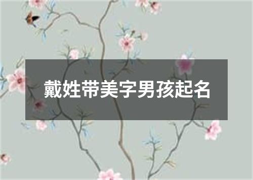 戴姓带美字男孩起名