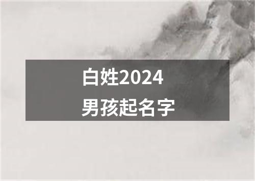 白姓2024男孩起名字