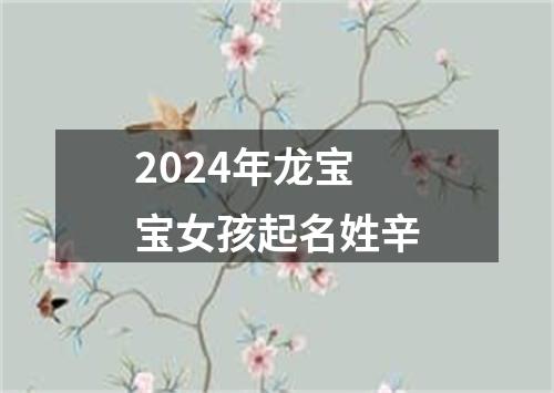 2024年龙宝宝女孩起名姓辛