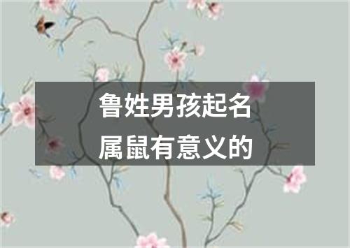 鲁姓男孩起名属鼠有意义的