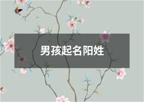 男孩起名阳姓