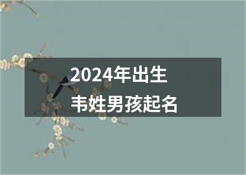 2024年出生韦姓男孩起名