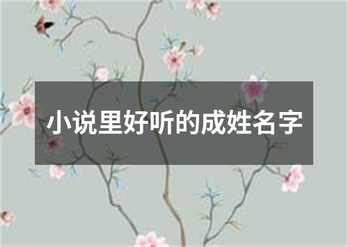 小说里好听的成姓名字