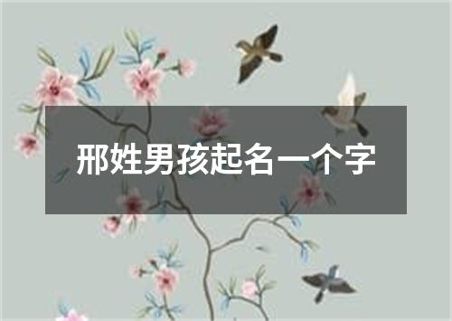 邢姓男孩起名一个字