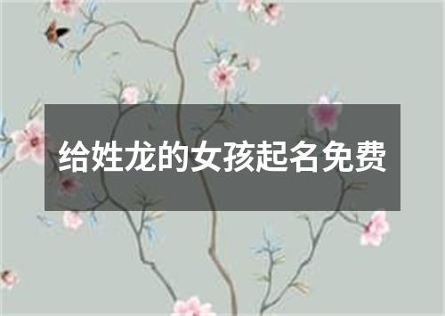 给姓龙的女孩起名免费