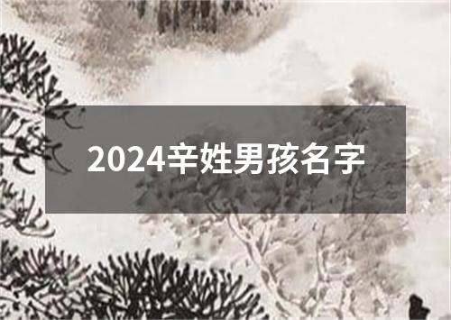 2024辛姓男孩名字