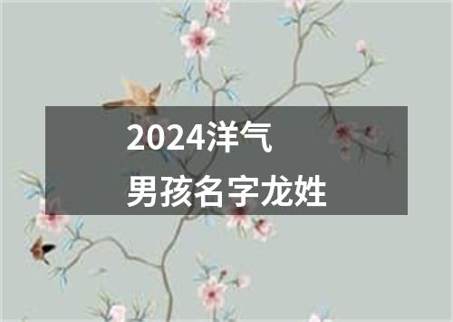 2024洋气男孩名字龙姓