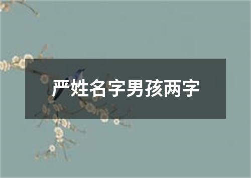 严姓名字男孩两字