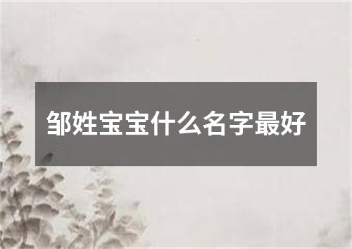 邹姓宝宝什么名字最好