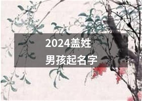 2024盖姓男孩起名字