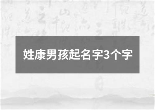 姓康男孩起名字3个字