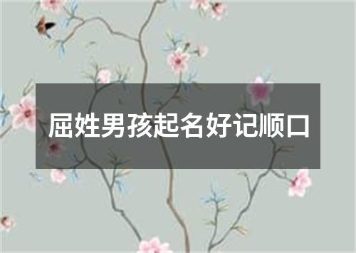 屈姓男孩起名好记顺口