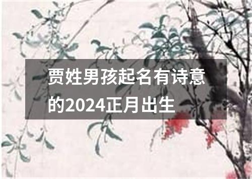 贾姓男孩起名有诗意的2024正月出生