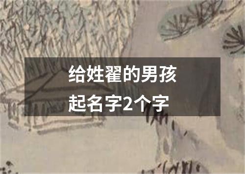 给姓翟的男孩起名字2个字